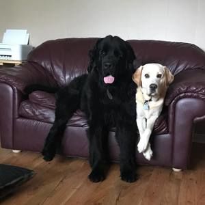 Meet your Posher, Wendy